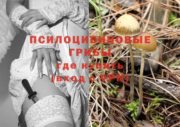 ешки Бугульма