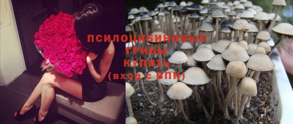 кристаллы Бородино